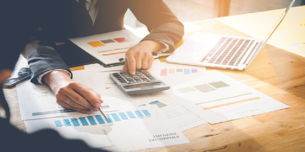 PROFESSIONAL IN TAX CONSULTANCY