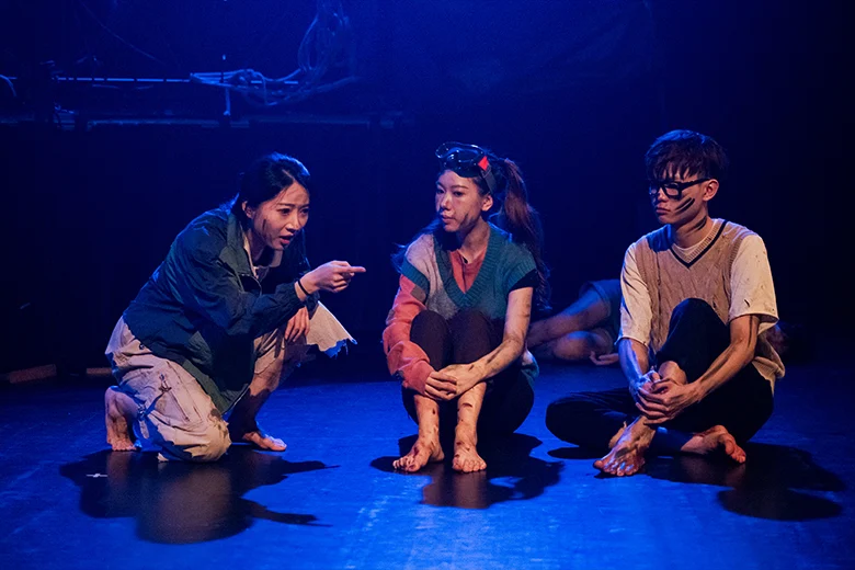 DIPLOMA IN DRAMA AND NARRATIVE LITERATURE